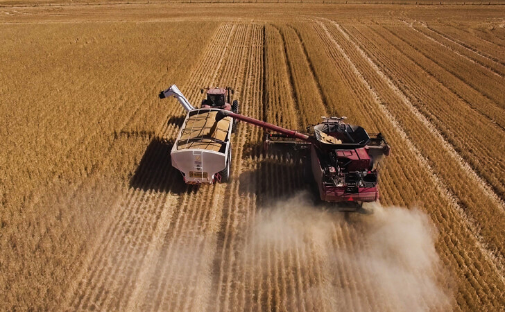 Farmer looking into agribusiness banking solutions