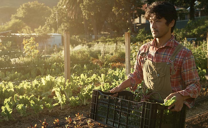 Farmer growing their business