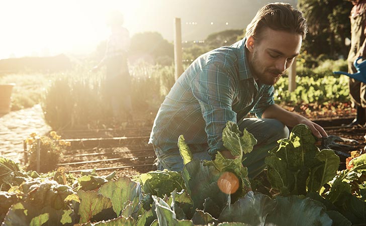 Farmer using a deposit account