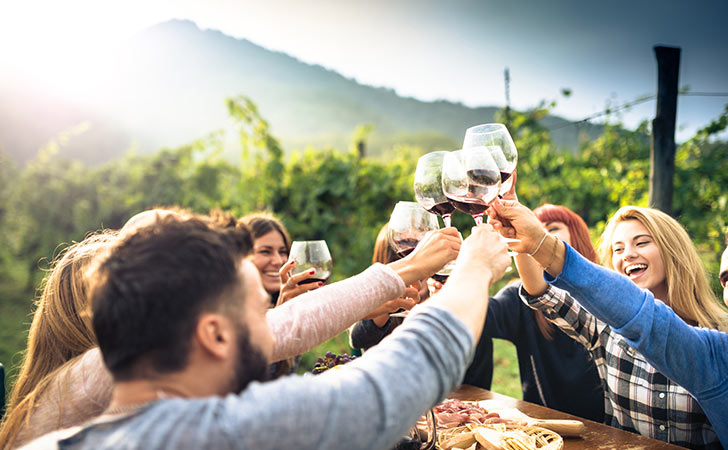 Cheers at a winery